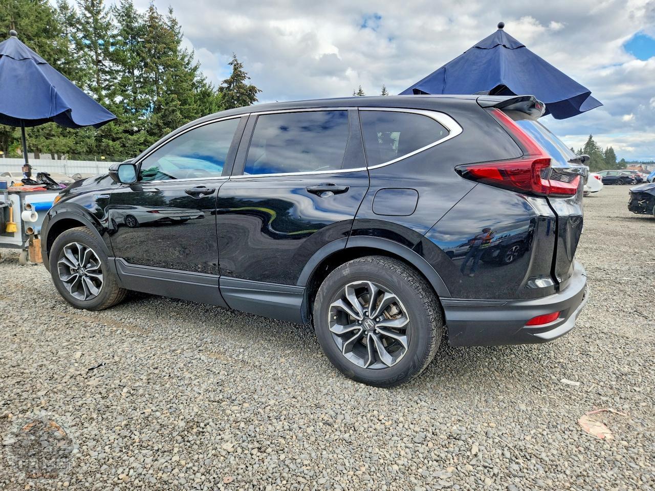 2021 HONDA CR V — фото 2