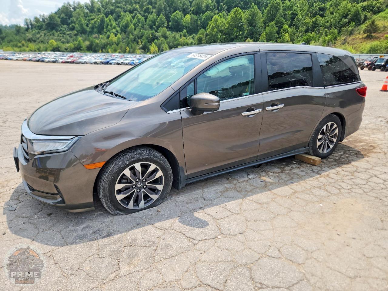 2022 HONDA ODYSSEY — фото 1