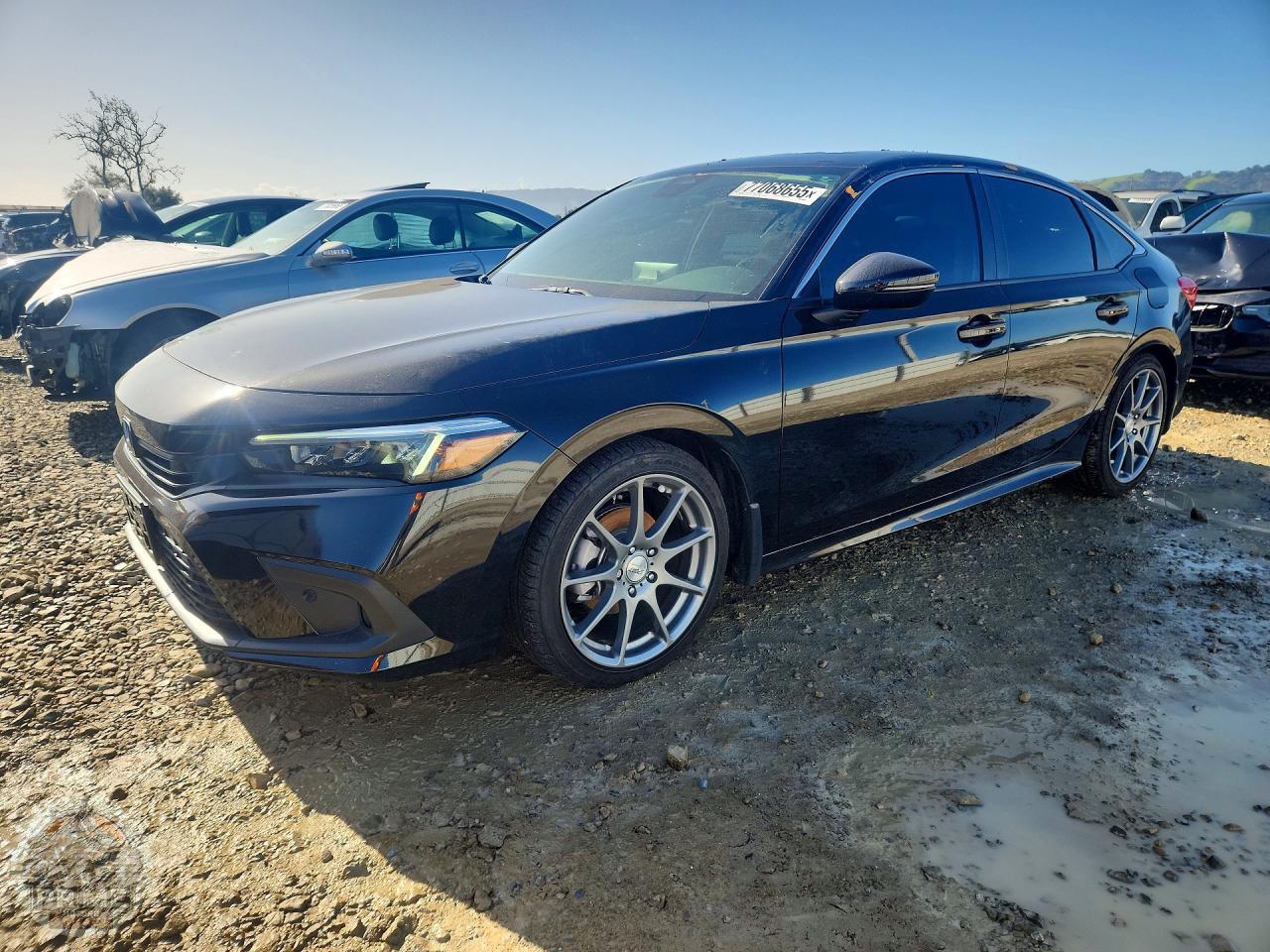 2024 HONDA CIVIC — фото 1