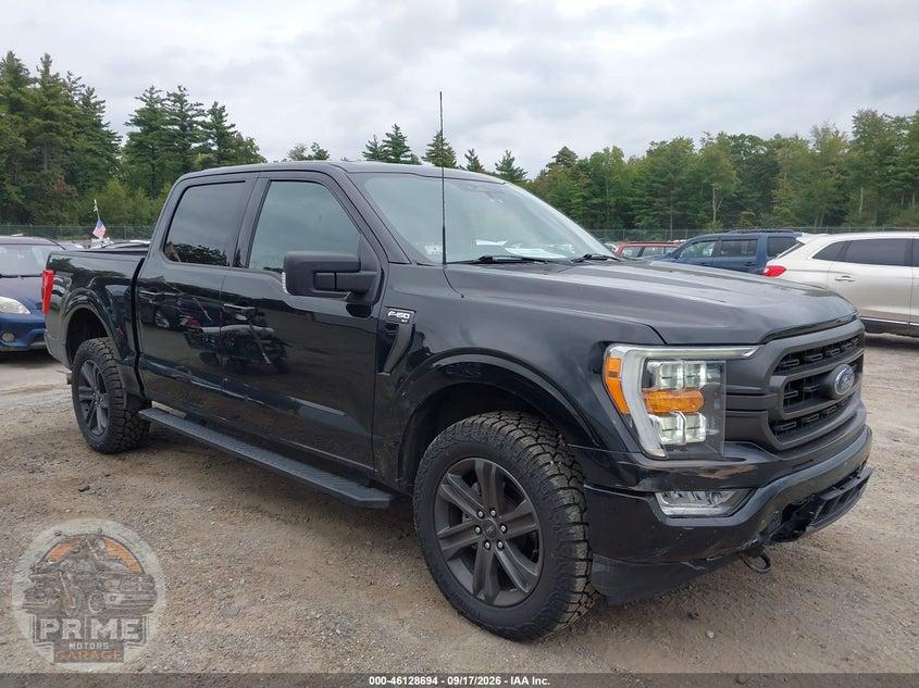 2023 FORD F-150 XLT — фото 1