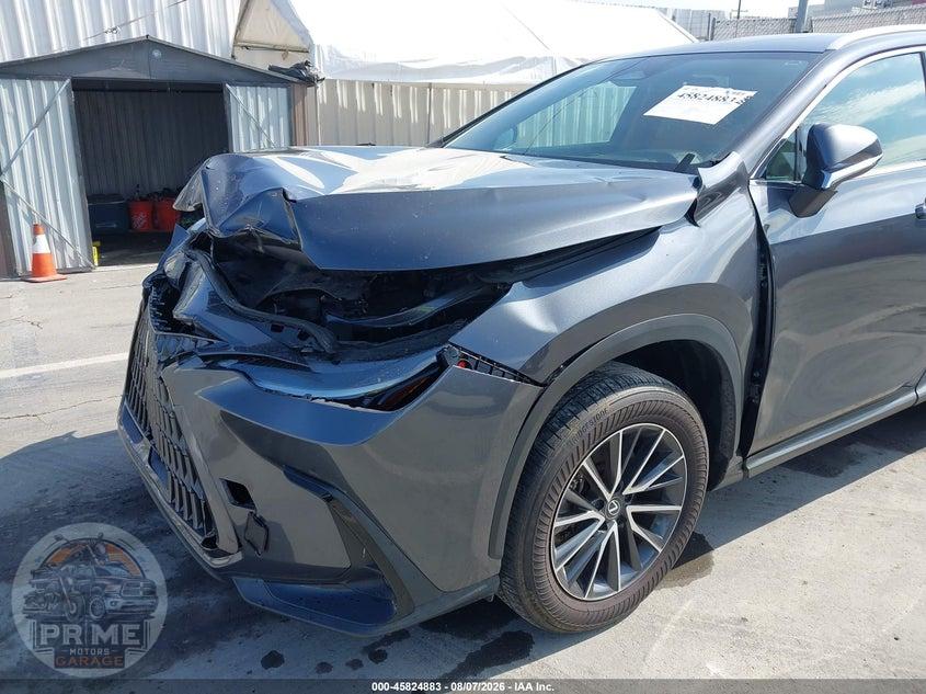 2024 LEXUS NX 350 — фото 21