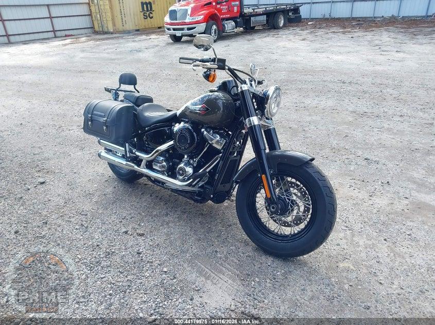 2019 HARLEY-DAVIDSON FLSL (SOFTAIL SLIM) — фото 1