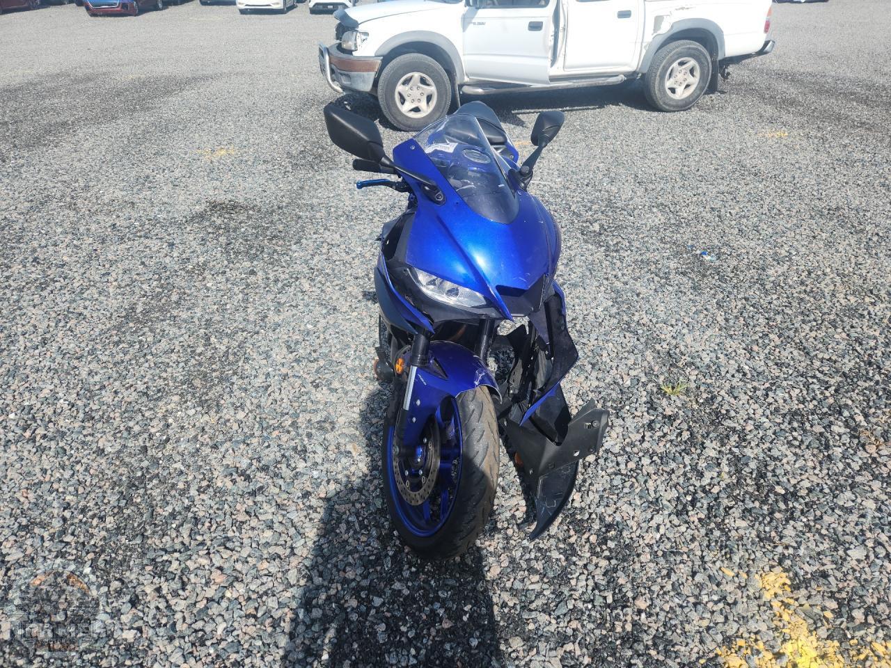 2024 YAMAHA YZFR3 — фото 2