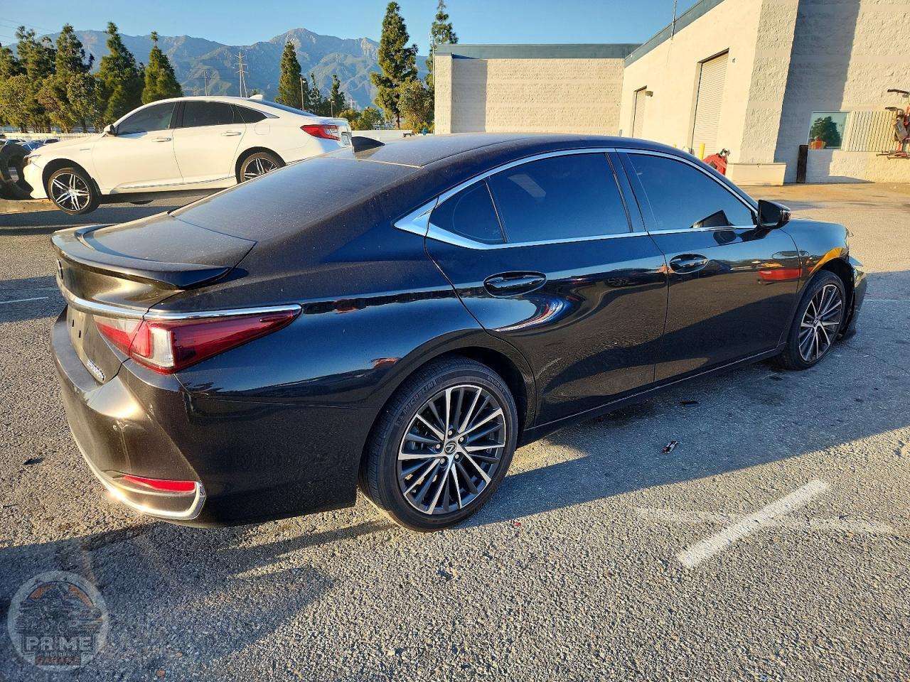 2024 LEXUS ES — фото 3