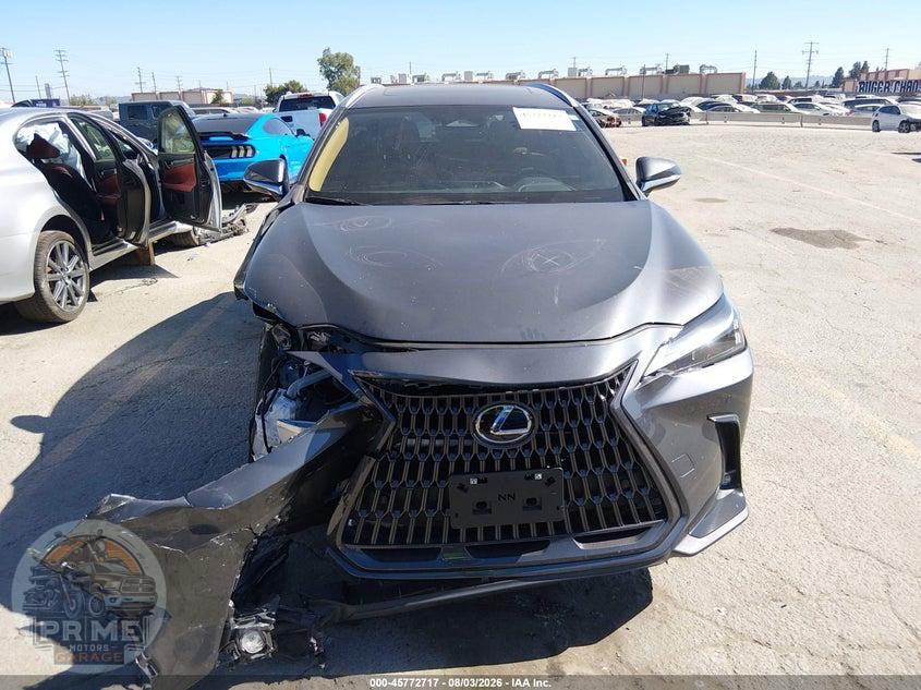 2023 LEXUS NX 350 PREMIUM — фото 12