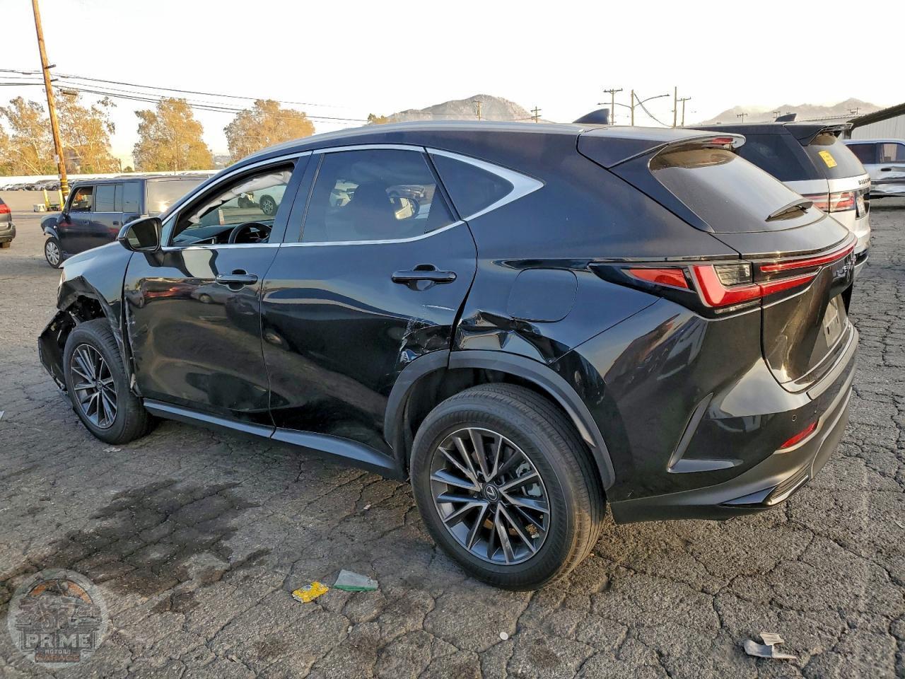 2023 LEXUS NX — фото 2