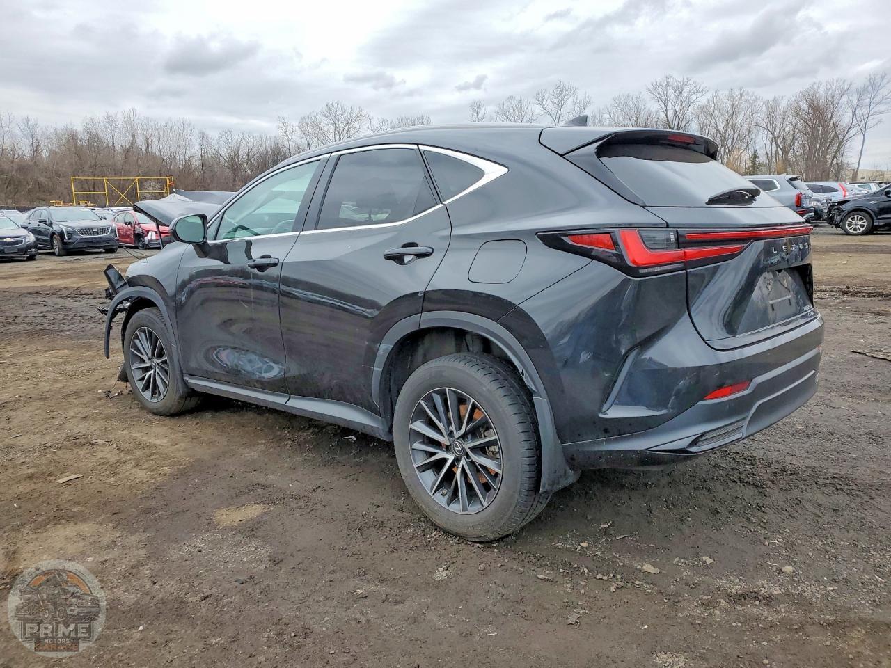 2023 LEXUS NX — фото 2