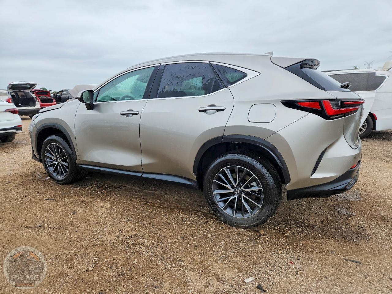 2025 LEXUS NX — фото 2