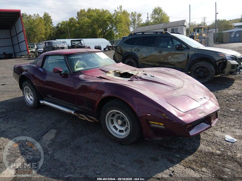 1981 CHEVROLET CORVETTE — фото 1