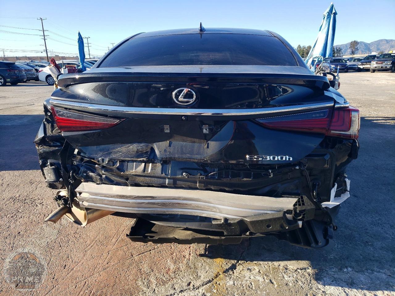 2025 LEXUS ES — фото 6