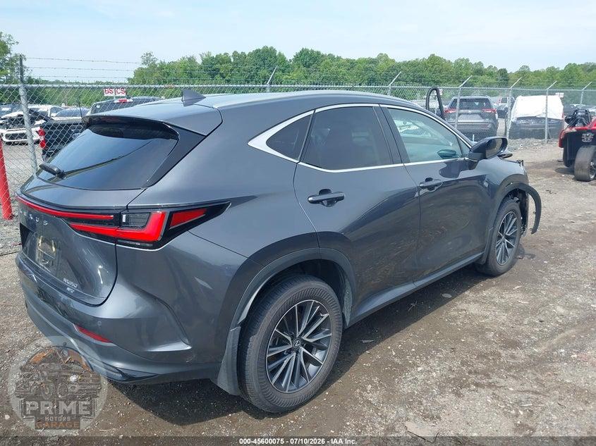 2025 LEXUS NX 350 PREMIUM — фото 4