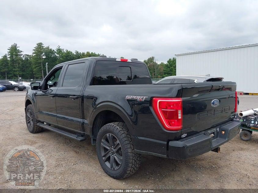 2023 FORD F-150 XLT — фото 3