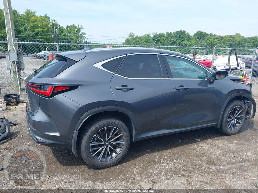 2025 LEXUS NX 350 PREMIUM — фото 14
