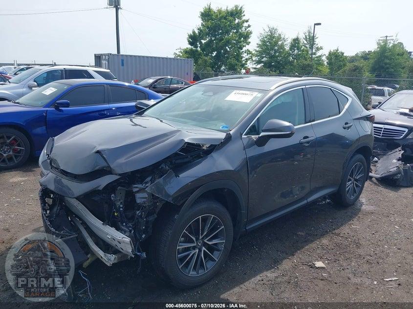 2025 LEXUS NX 350 PREMIUM — фото 2