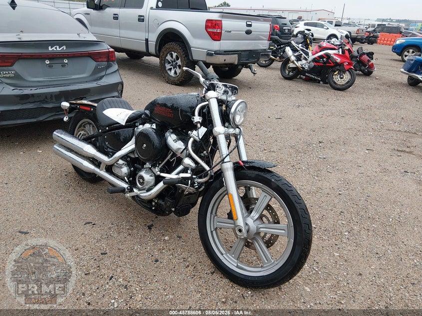 2024 HARLEY-DAVIDSON FXST (SOFTAIL STANDARD) — фото 1
