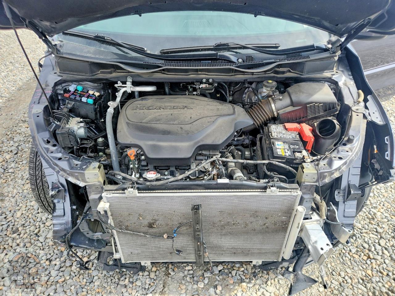 2024 HONDA ODYSSEY — фото 12