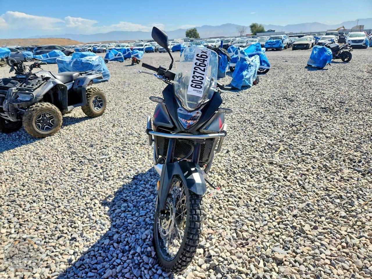 2024 HONDA XL750 — фото 2