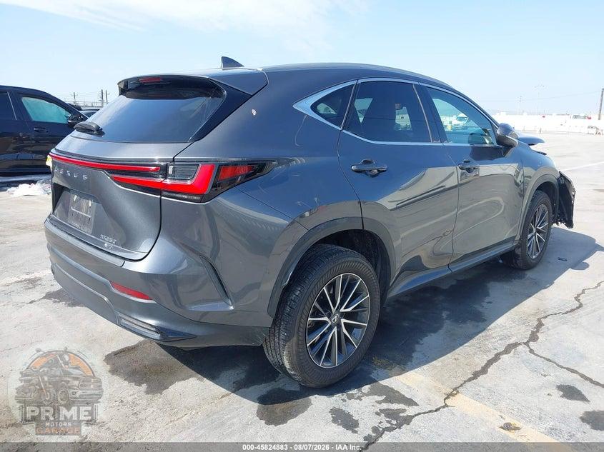 2024 LEXUS NX 350 — фото 4