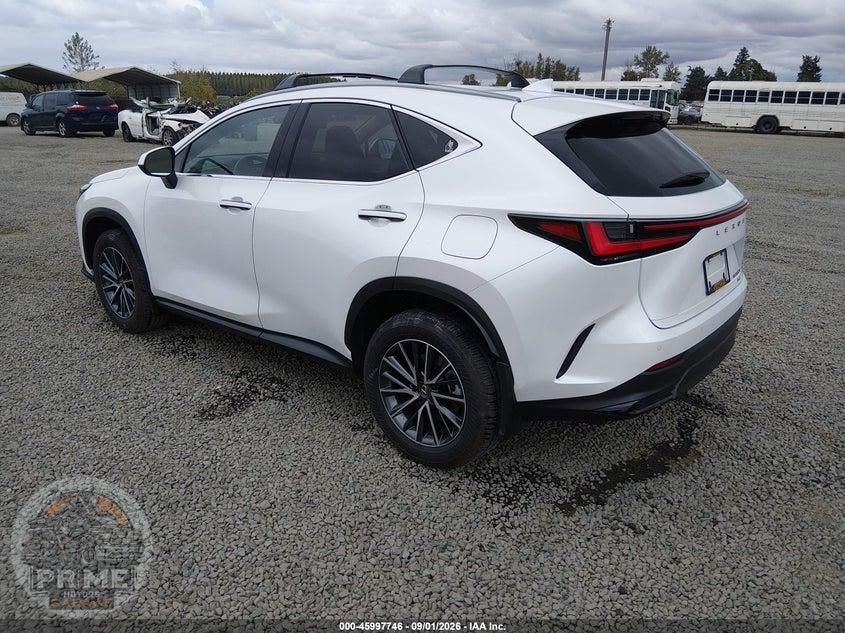 2025 LEXUS NX 350H PREMIUM — фото 3