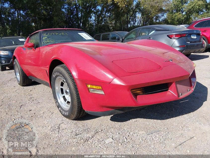 1981 CHEVROLET CORVETTE — фото 1
