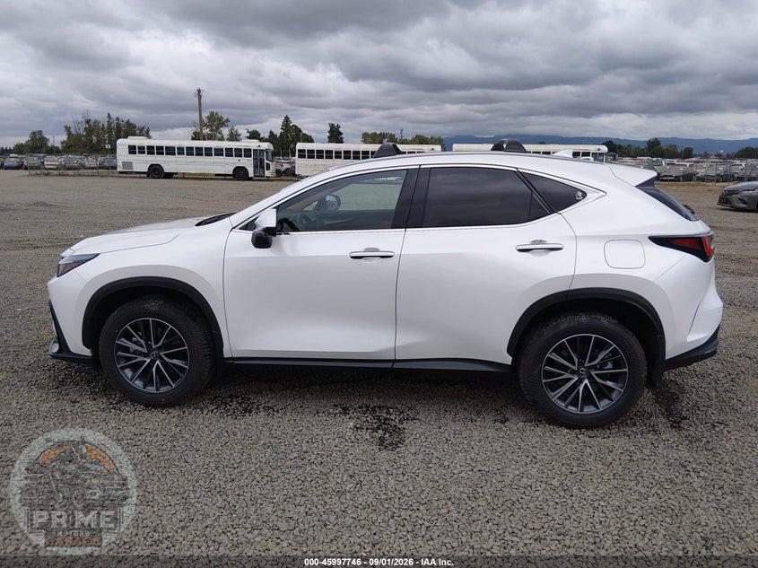 2025 LEXUS NX 350H PREMIUM — фото 14