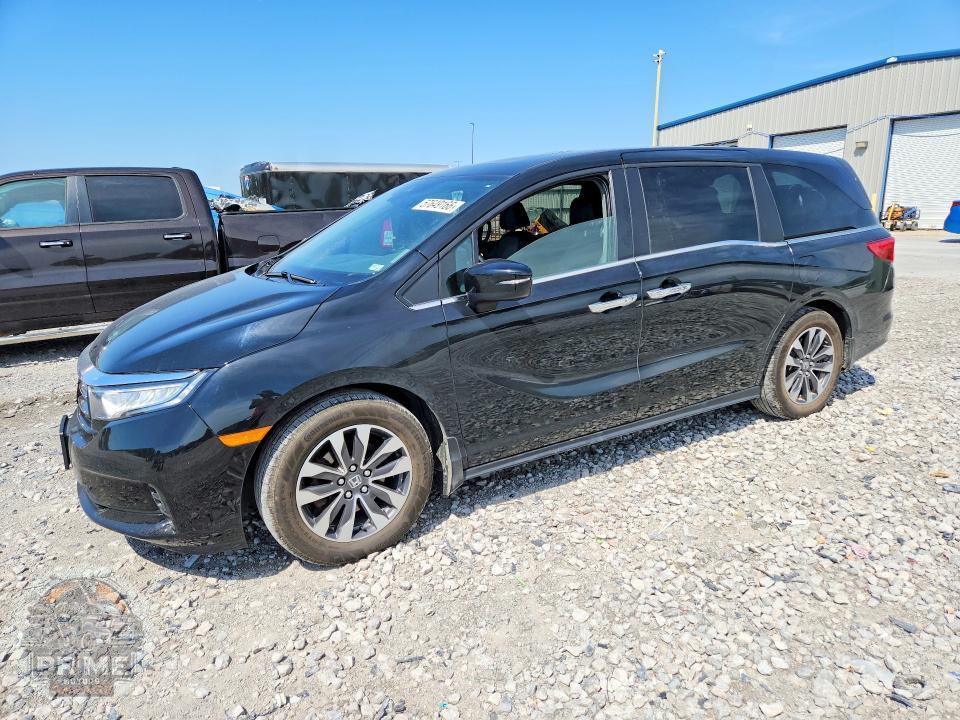 2024 HONDA ODYSSEY — фото 1