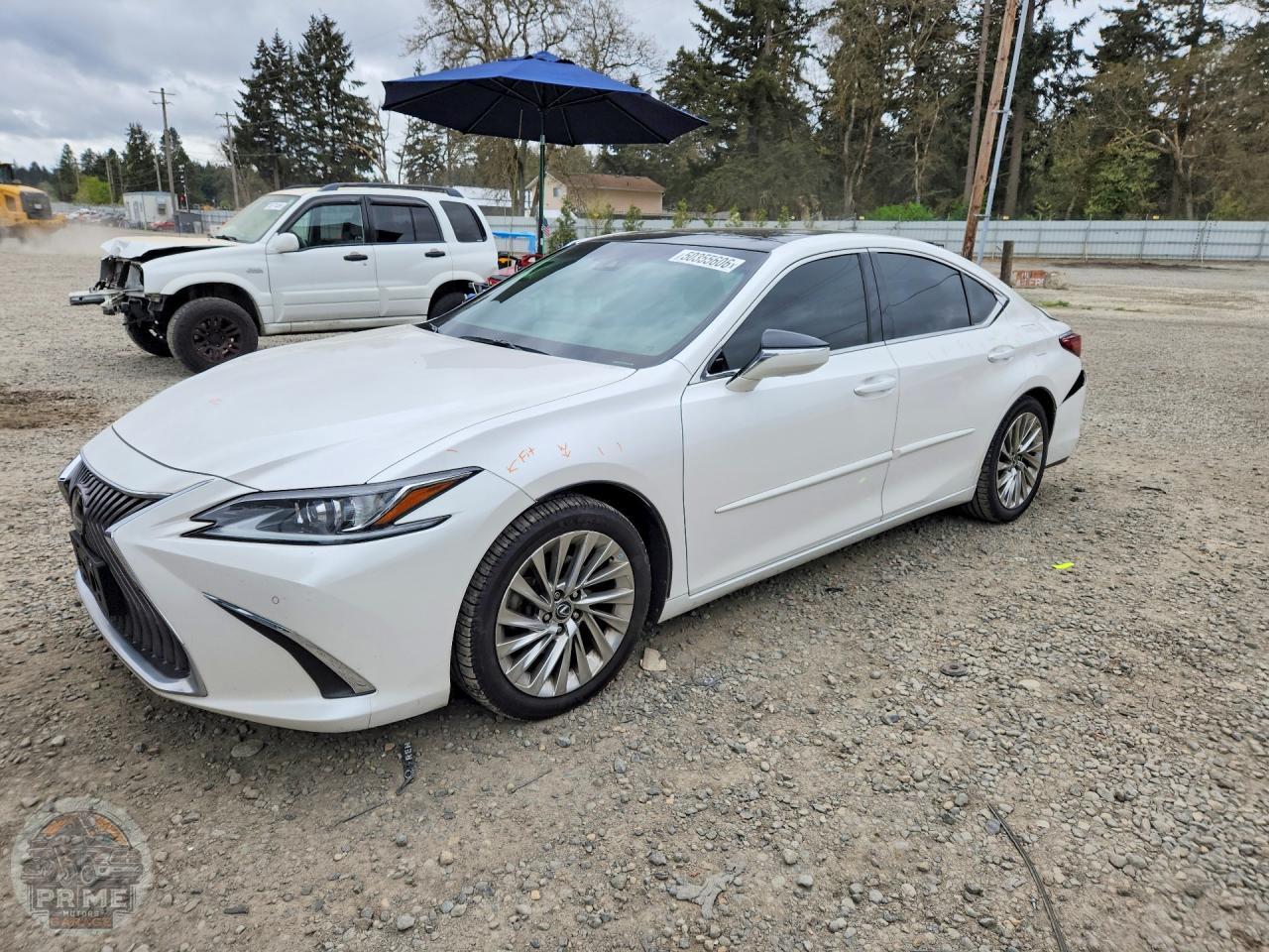 2020 LEXUS ES — фото 1