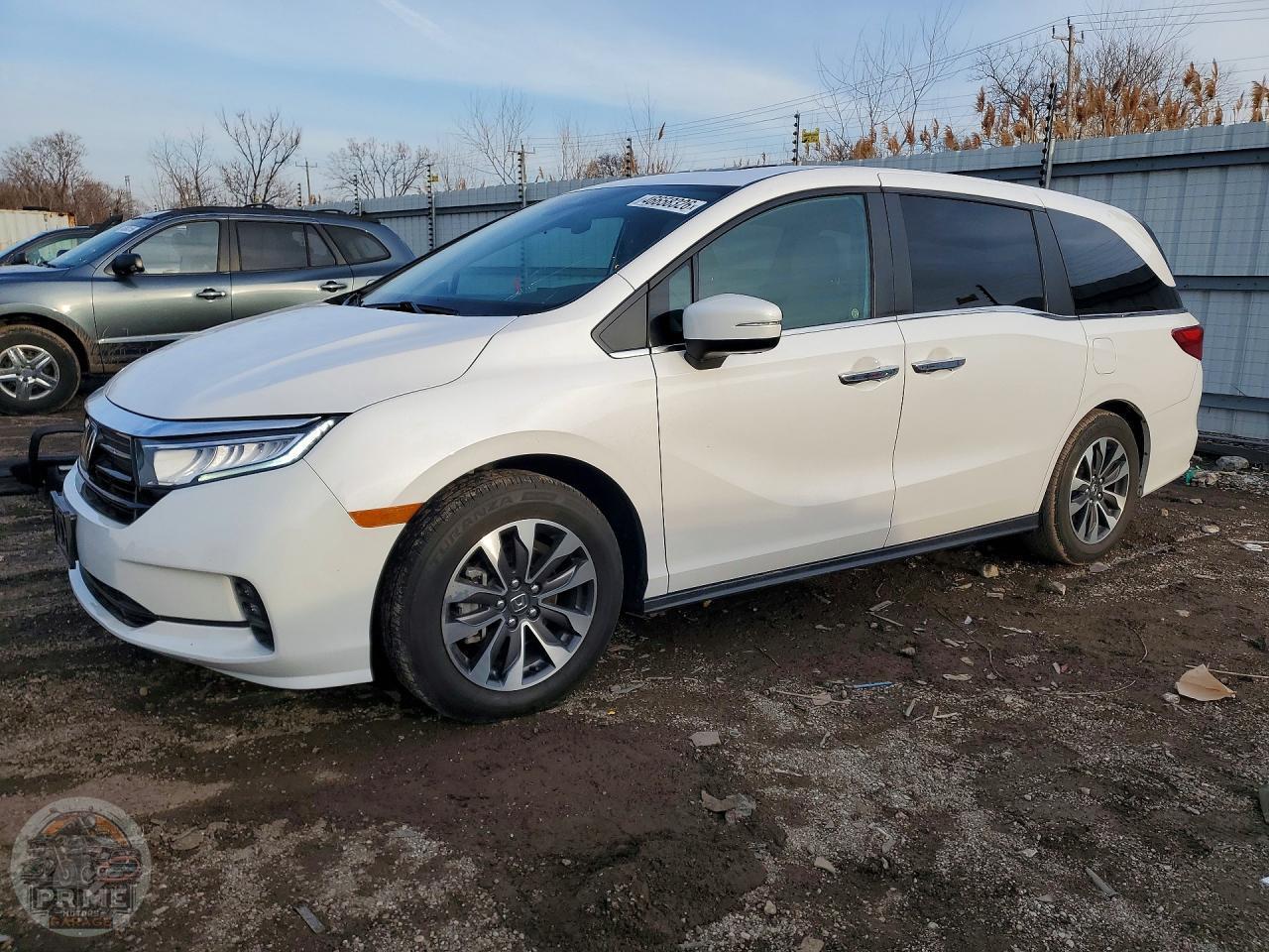 2024 HONDA ODYSSEY — фото 1