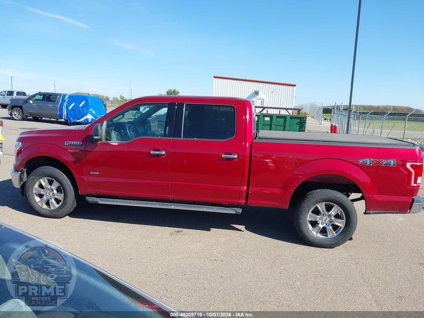 2015 FORD F-150 XLT — фото 15