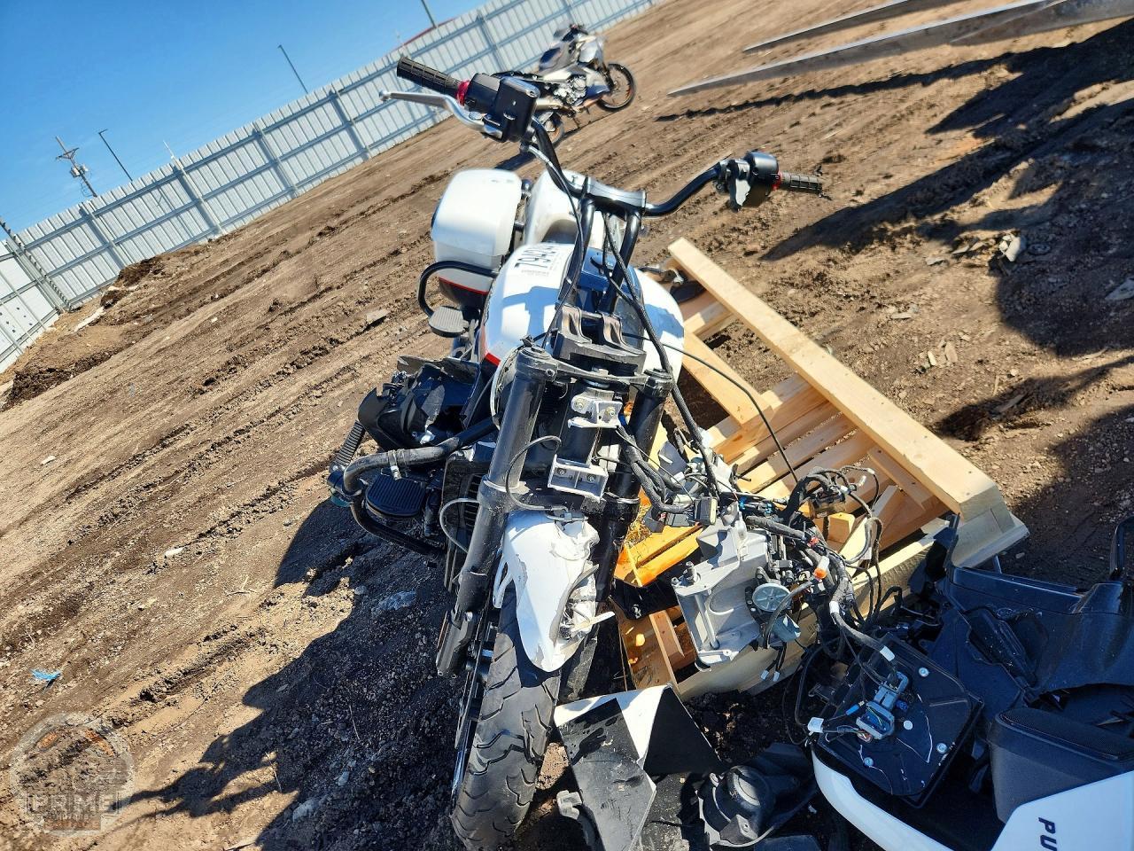 2022 INDIAN MOTORCYCLE CO. PURSUIT — фото 2