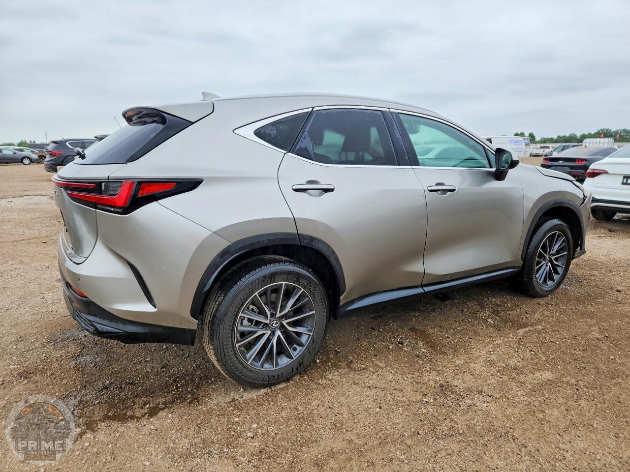 2025 LEXUS NX — фото 3