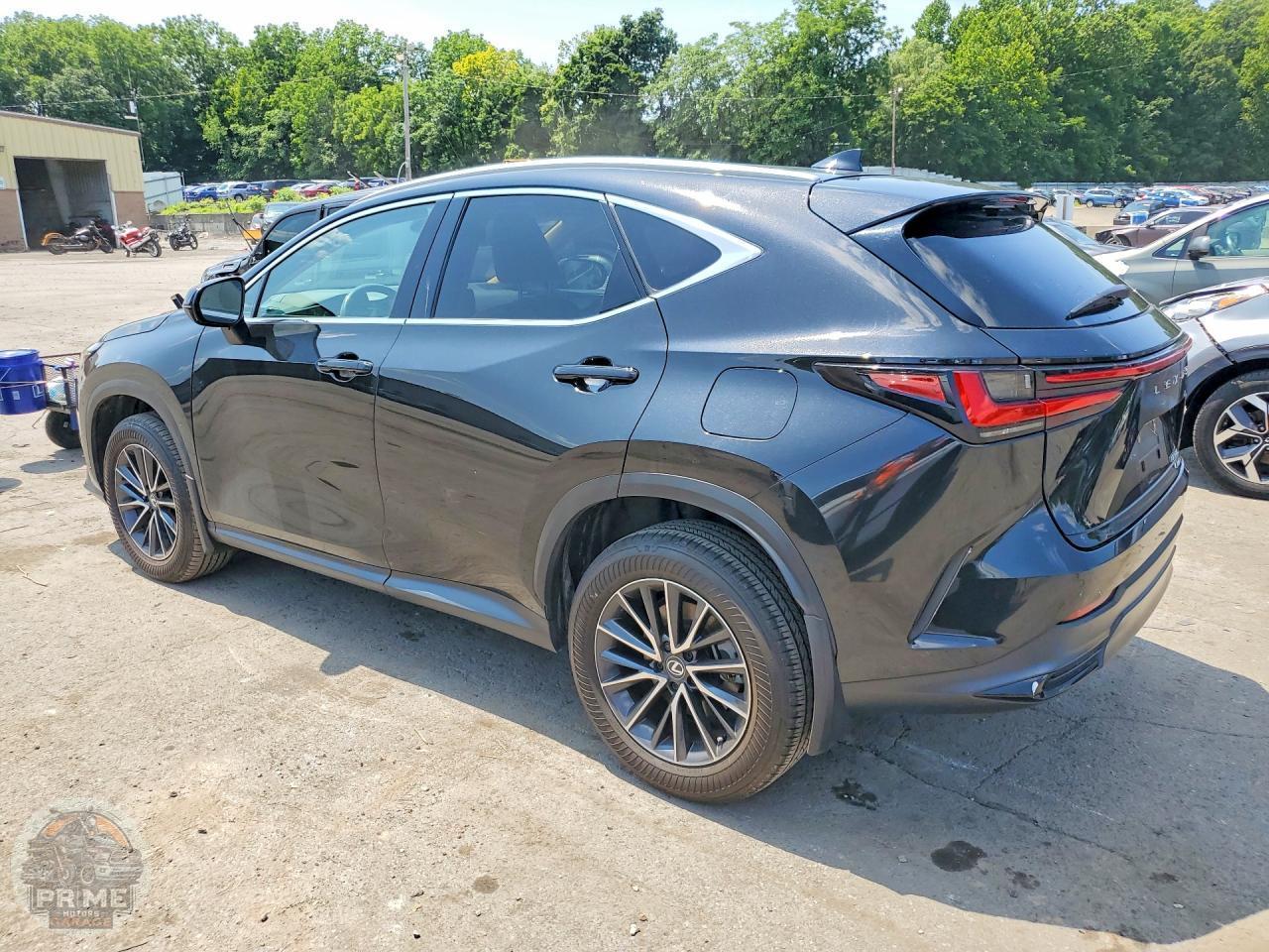 2025 LEXUS NX — фото 2