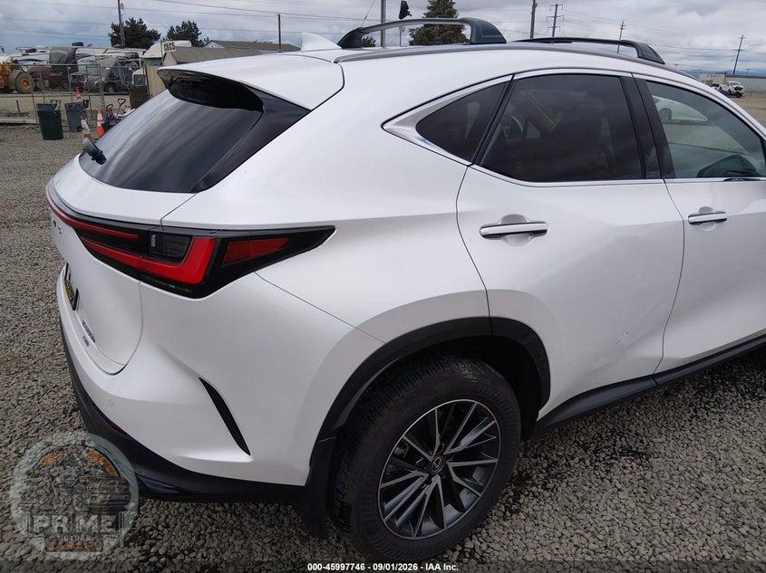 2025 LEXUS NX 350H PREMIUM — фото 17