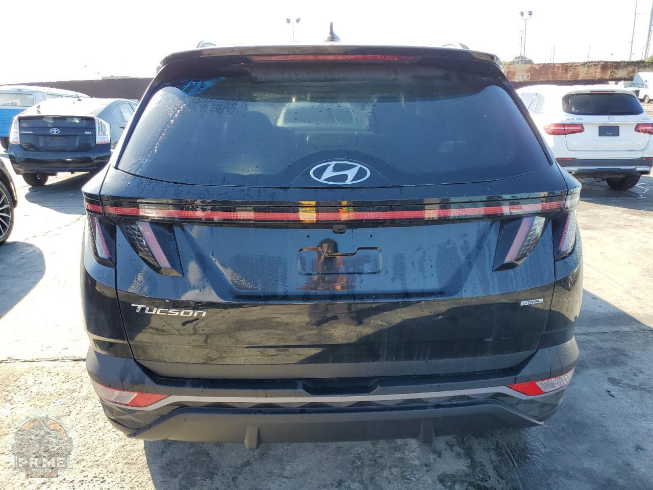 2023 HYUNDAI STELLAR — фото 6