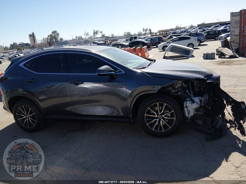 2023 LEXUS NX 350 PREMIUM — фото 13