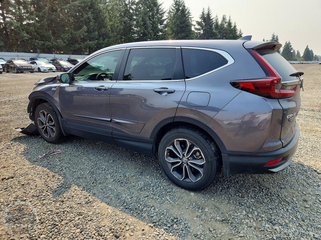 2022 HONDA CR V — фото 2