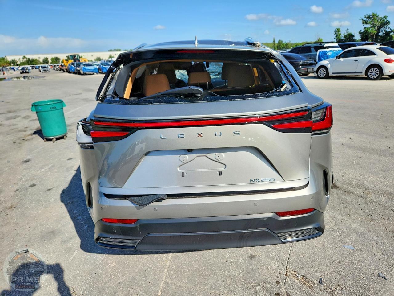 2025 LEXUS NX — фото 6