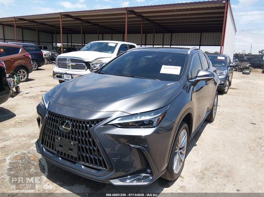 2025 LEXUS NX 350 PREMIUM — фото 2