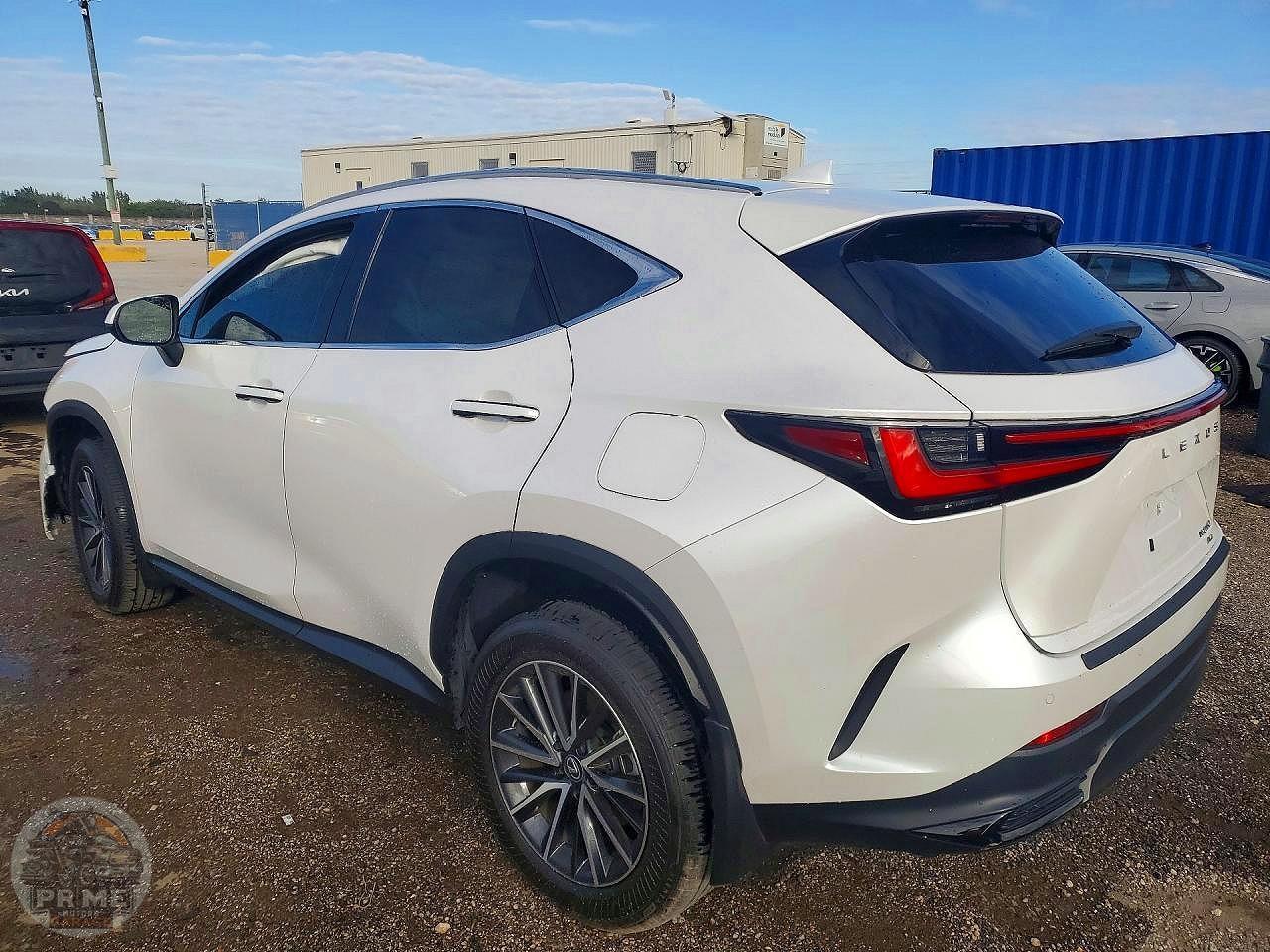 2025 LEXUS NX — фото 2