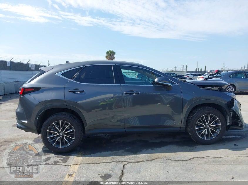 2024 LEXUS NX 350 — фото 13