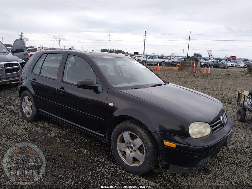 2002 VOLKSWAGEN GOLF GLS TDI — фото 1