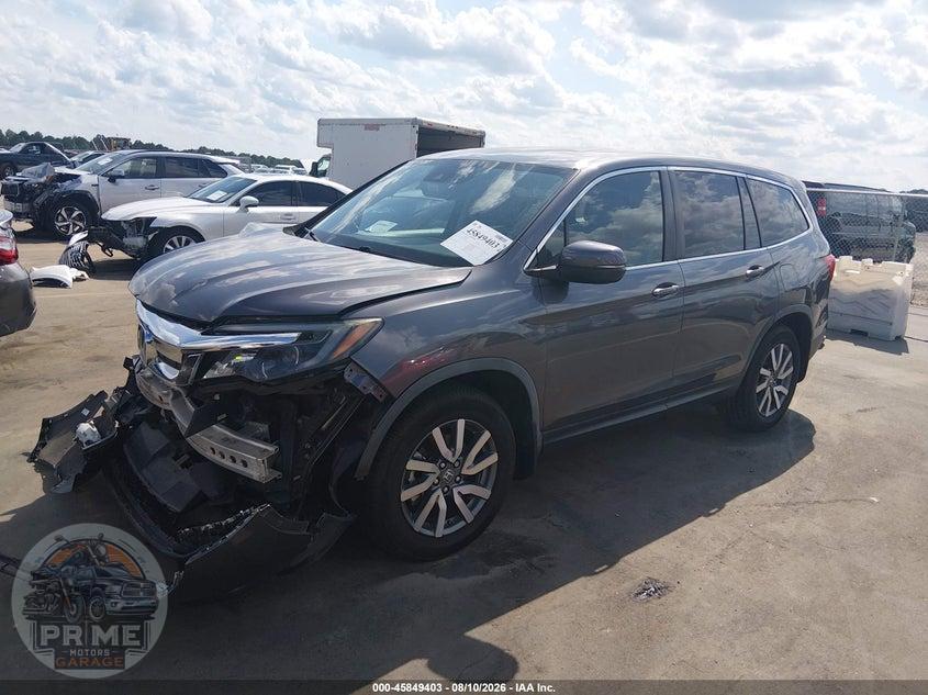 2019 HONDA PILOT EX-L — фото 2