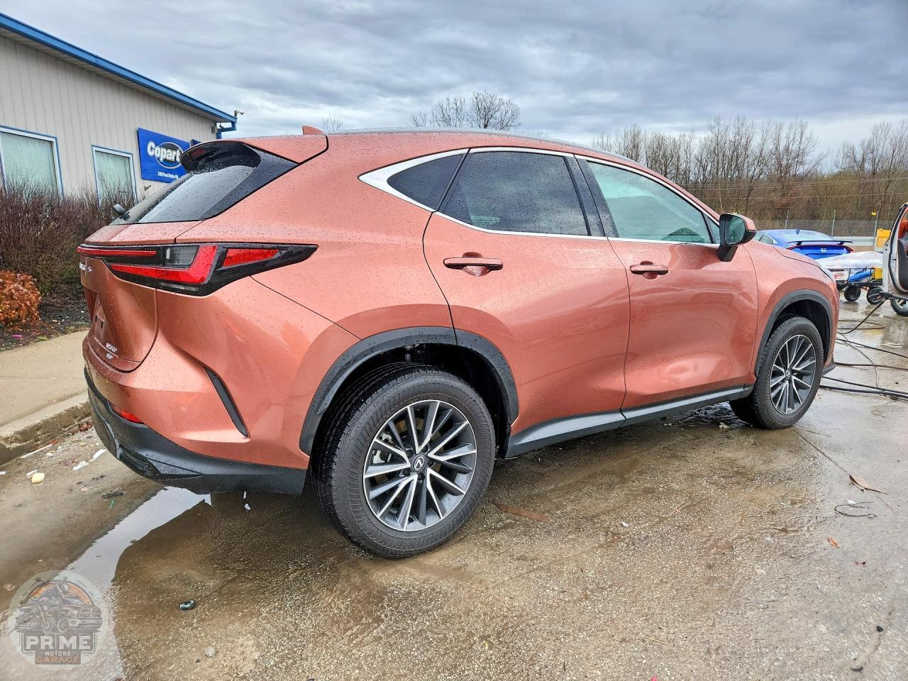 2025 LEXUS NX — фото 3