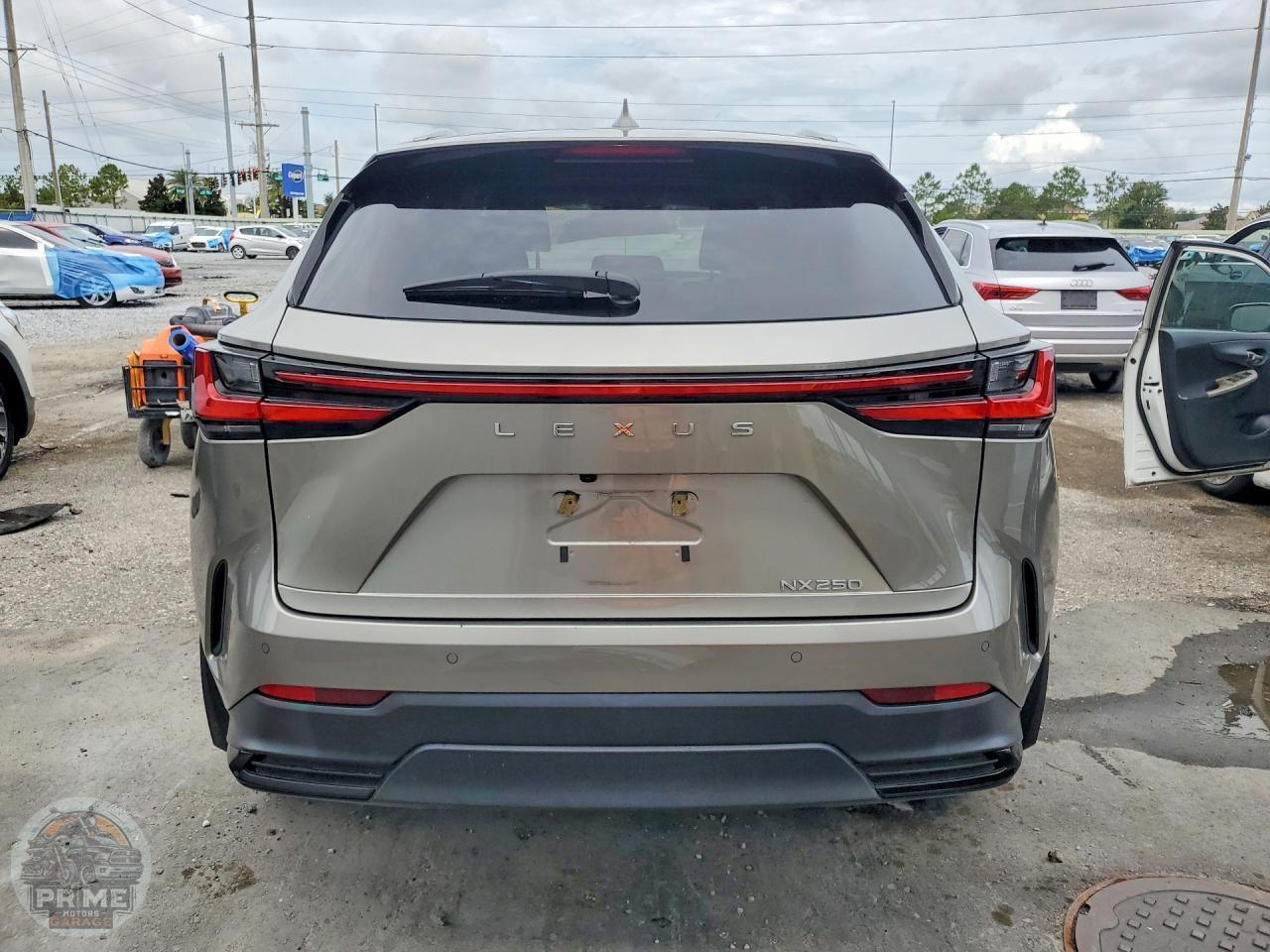 2025 LEXUS NX — фото 6