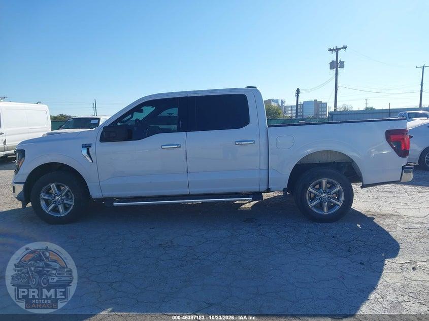 2024 FORD F-150 XLT — фото 14