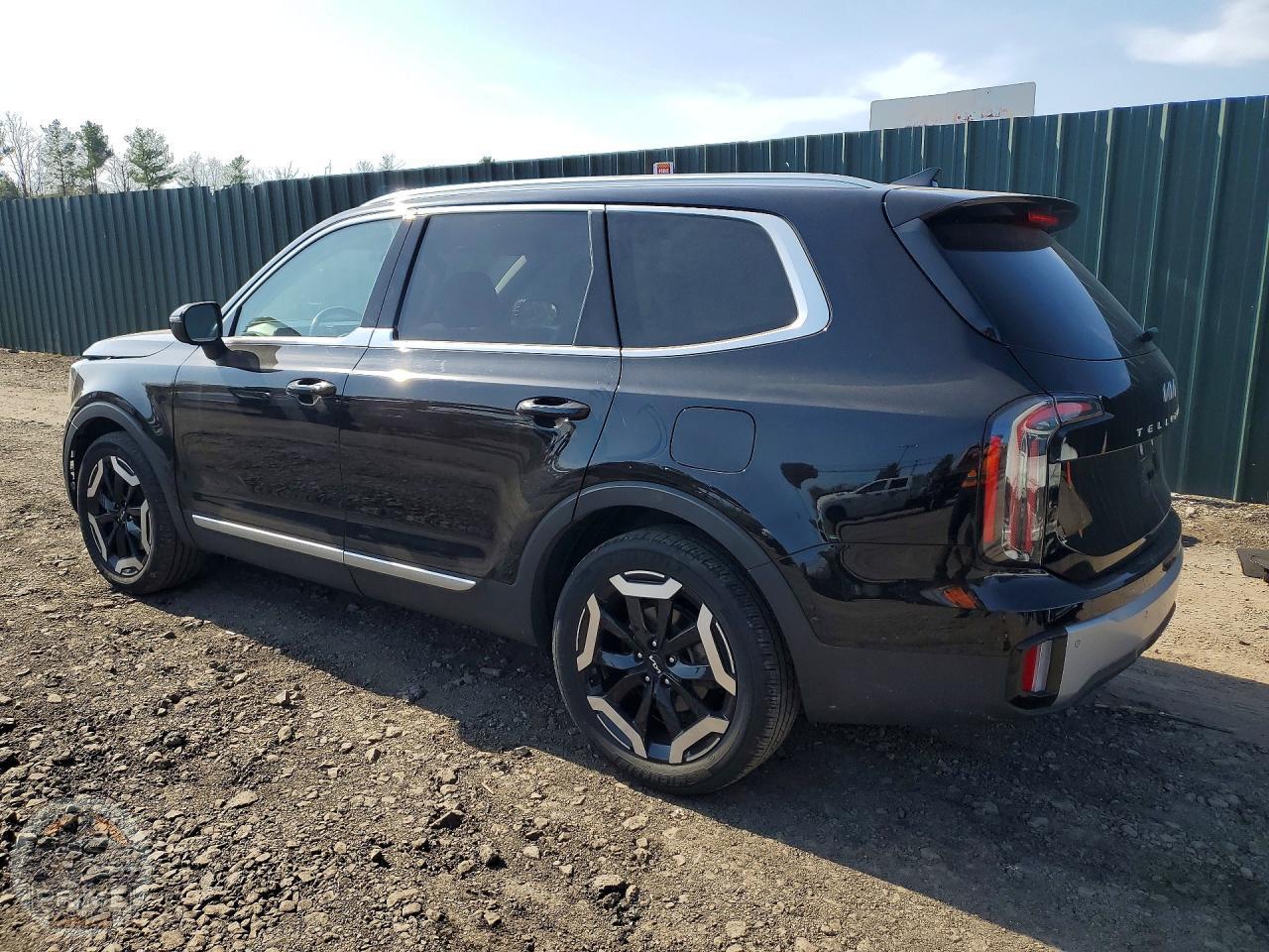 2024 KIA TELLURIDE — фото 2