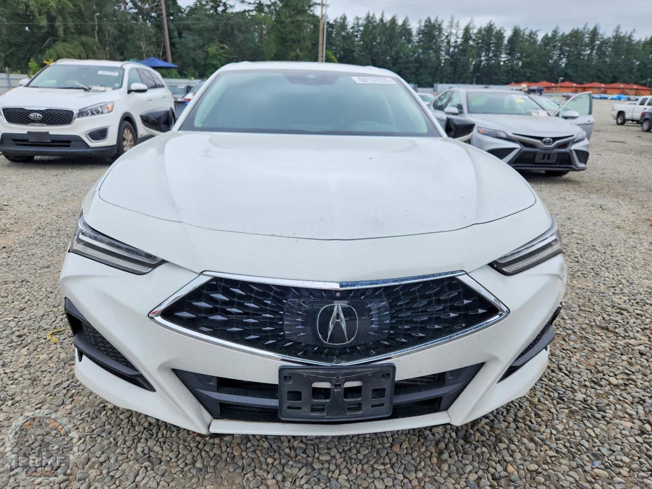 2021 ACURA TLX — фото 5