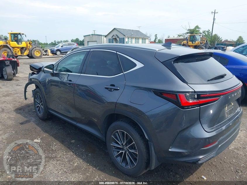 2025 LEXUS NX 350 PREMIUM — фото 3