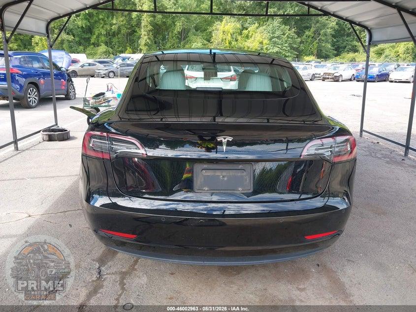 2019 TESLA MODEL 3 LONG RANGE/MID RANGE/STANDARD RANGE/STANDARD RANGE PLUS — фото 16