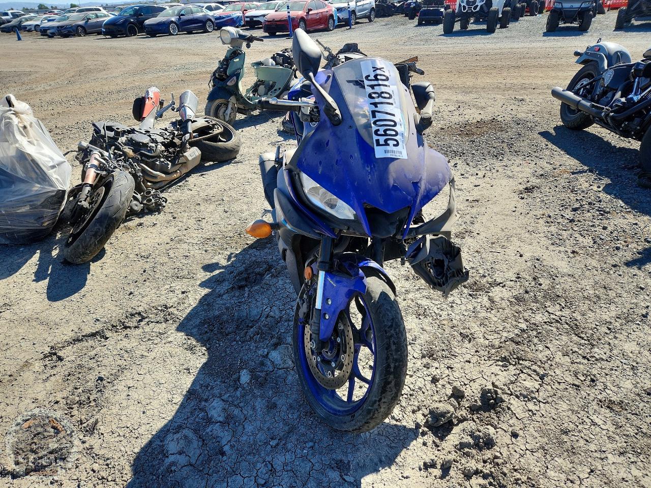 2024 YAMAHA YZFR3 — фото 2